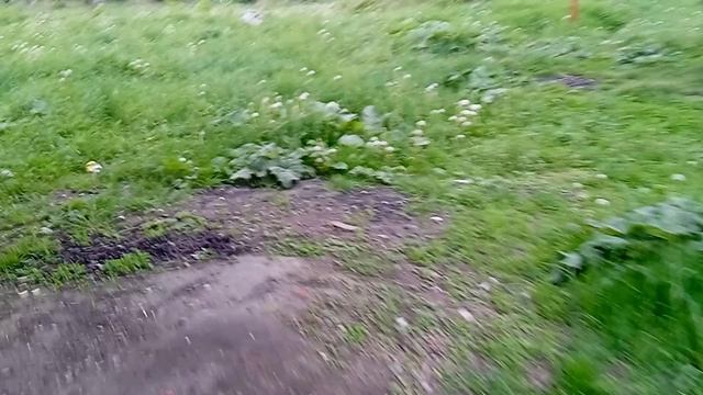 Реутов кучи мусора на садовом.mp4