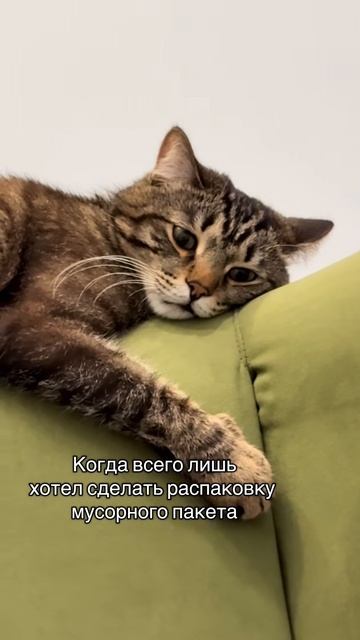 Распаковка