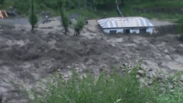 Случаи в Природе Один на Миллион