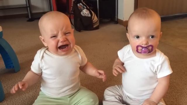 Twin baby girls fight over pacifier