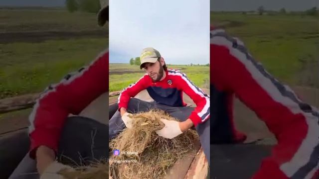 Экологичная тачка