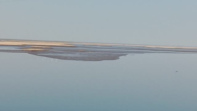 Белое Море, малая вода, мель с каждым годом всё больше