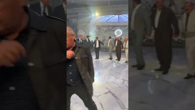 Езидская Свадьба  / Dawata Ezdia / Shaya Ezdya / Yezidi Wedding 2025 г.