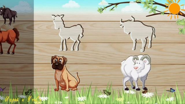 Развивающий мультфильм для детей Пазлы |познавательный|мультик|для малышей|мама|мультфильм|