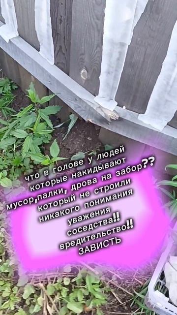 ""сосед"" сломал нам забор