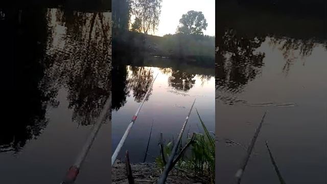 Рыбалка в Сибири. Река Тара