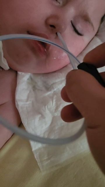 стандартные, привычные, утренние процедуры😌 добрейшего всем утра,  дня друзья 💪👸🙂#евасма1 #папас
