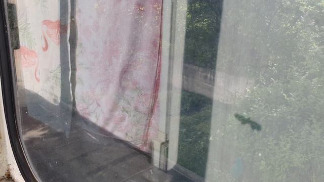 Трудяга