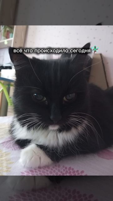 я лицо подруги заблюрила стикером