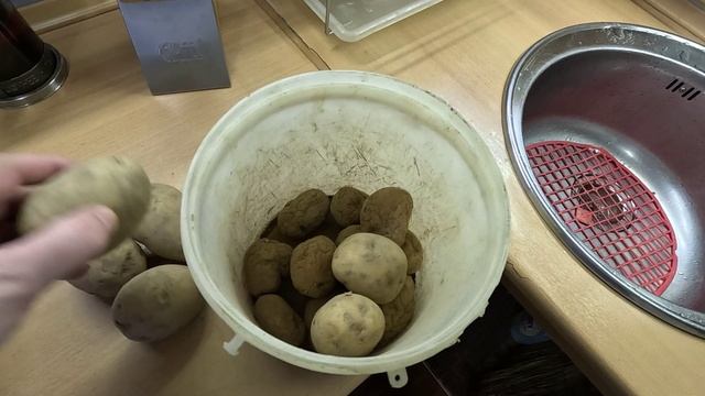 Картошка с дачи сморщилась и проросла приходится покупать в магазине.