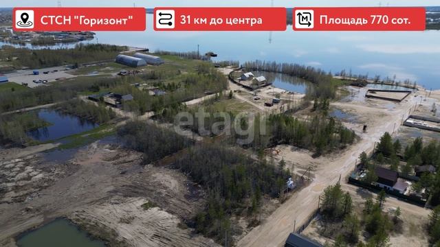 6816968 СТСН Горизонт пруф