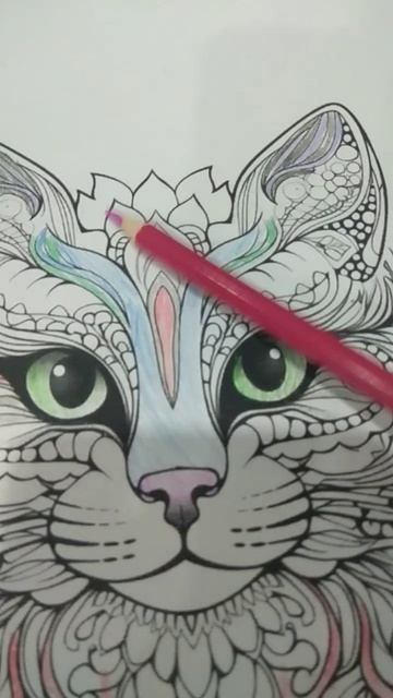 Раскраска котик. Часть2