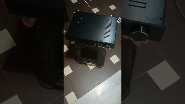 VID-2025.05.25. Двойное моно на tpa3255