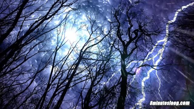 Forest Rain & Thunderstorm Sounds 10 Hours | Sleep or Study to Rain Falling White Noise Ambiance