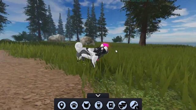 ИГРАЮ В КОМПЛЕКТ ВОЛКОВ АЛЬФА! WARRIOR CATS ULTIMATE EDITION