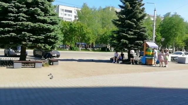 Вон какие светлые блондинки!