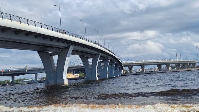 карта дня 🐬💦🌊🩵☀️