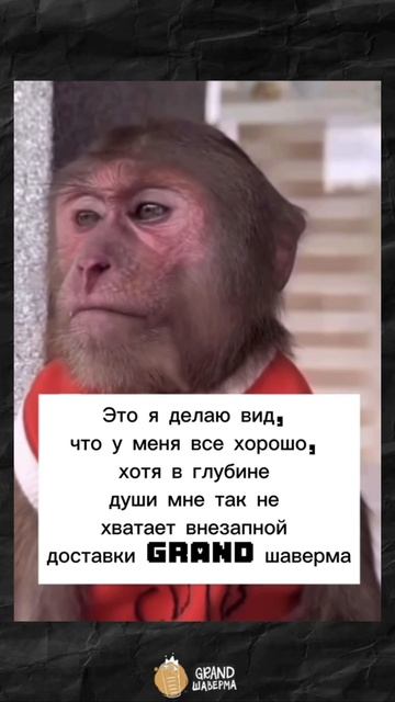 😪🥹🥹
#скидка #прикол #burger #питер #спб #шаверма #food #шаурма #юмор #еданакамеру #еда #питерпарк