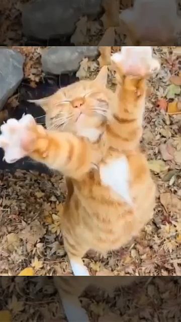 Столько работы было.... Устал!!!