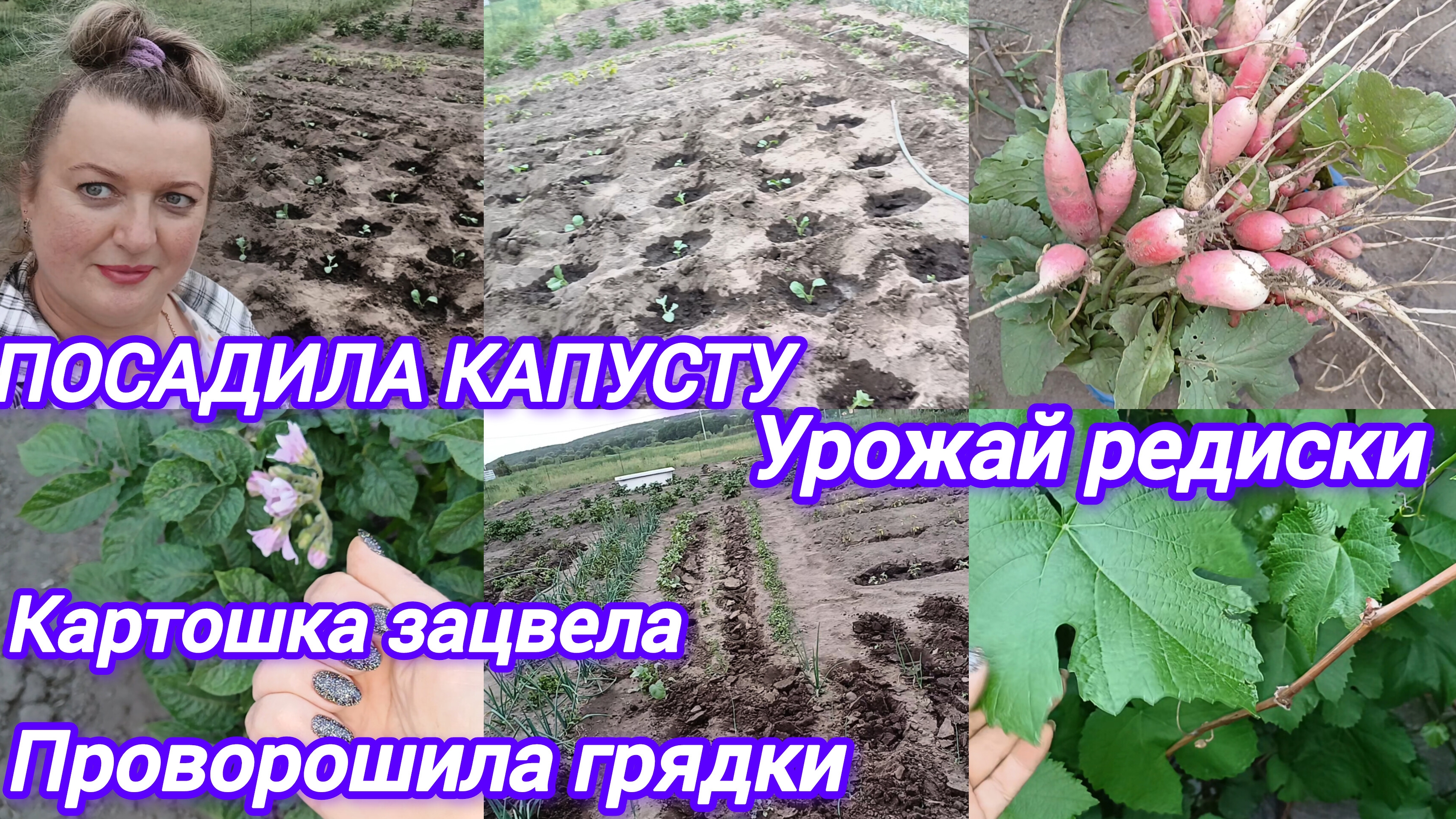 ПОСАДИЛА КАПУСТУ. СОСТОЯНИЕ ГУСЯТ СТАБИЛЬНОЕ. ПРОРЫХЛИЛА РАСТИШКИ