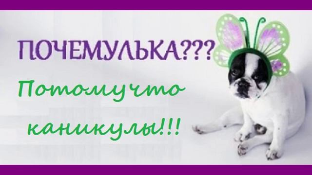 КАНИКУЛЫ!!!