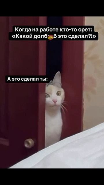Нивеновин