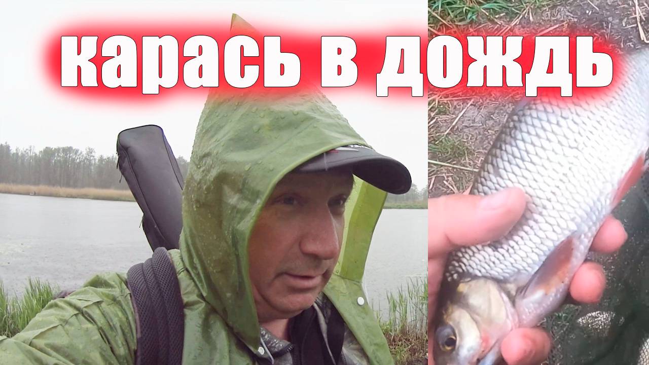 Карась в дождливое весеннее утро, на что ловим