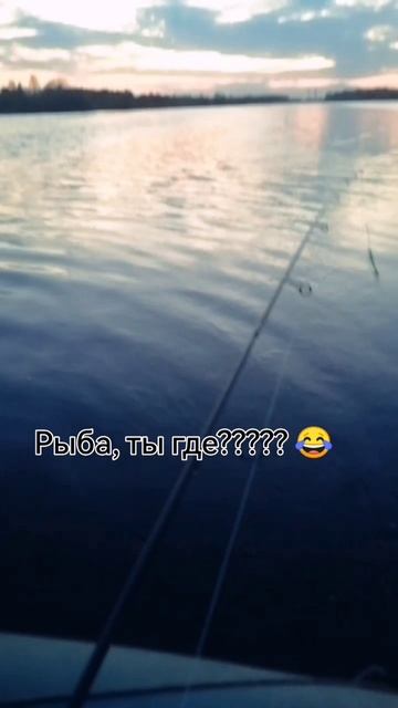 Где же ты 😂