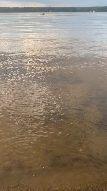 Лето в городе