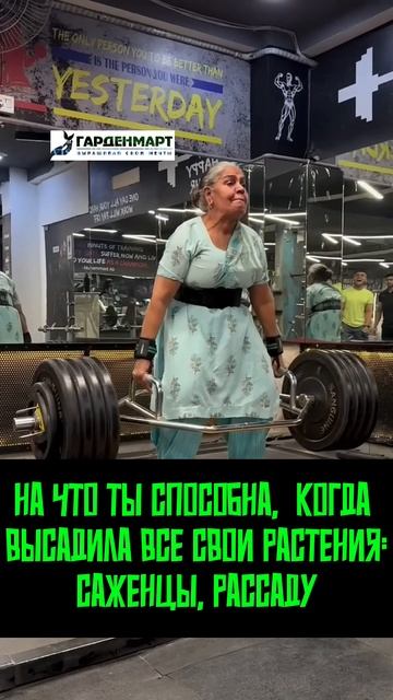 На какой стадии дачный сезон находится у вас? Все посадили?