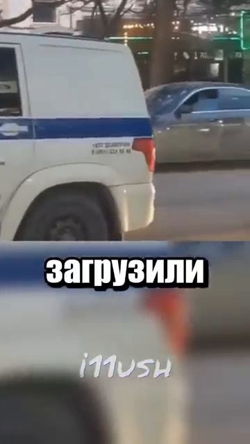 i11ushenka (1211)
