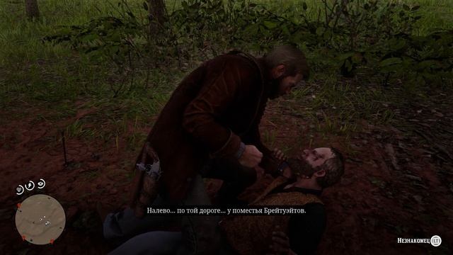 Red Dead Redemption 2   Охота на фокусников