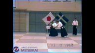 66 Aikido Ai Hanmi Ikkyo nr2 Nishio Sensei Uppsala 1995