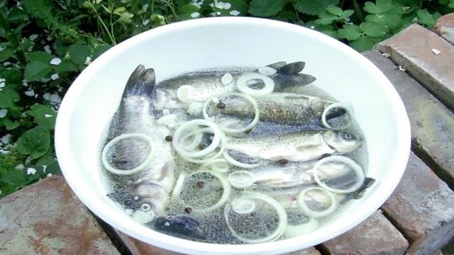 Караси на решетке