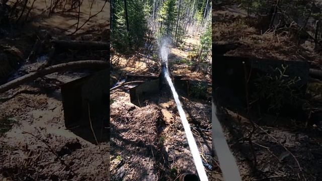 VID_20240522_103318.mp4