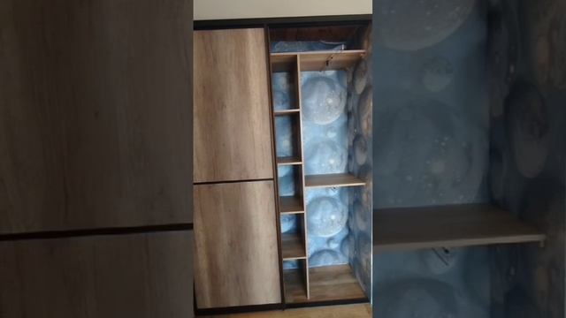 VID_20250314_130816_486.mp4