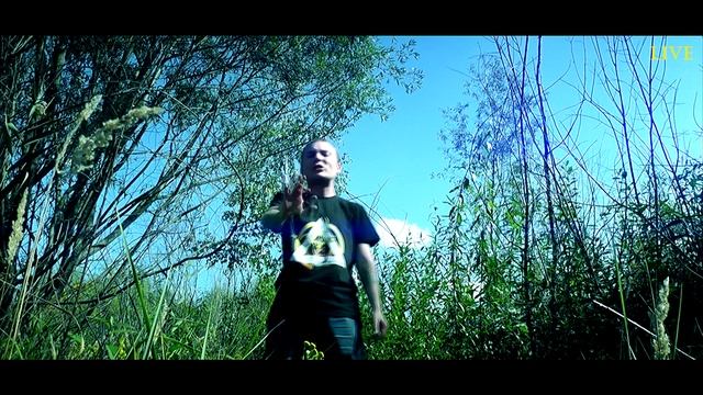 Jimmy Wise - Крадущийся тигр (LIVE) (2019)