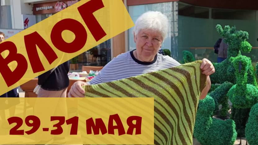 Встреча клуба 28 петель и котопледы