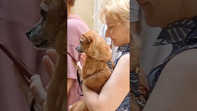 Уличные музыканты в Барселоне