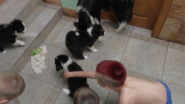 VID_20250531_190941