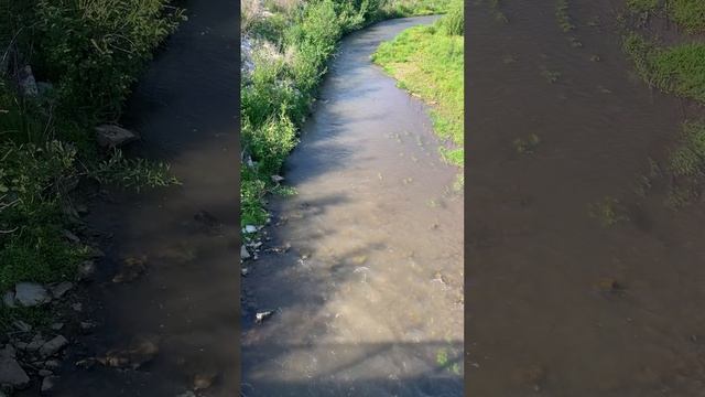 Практика «Речка моей жизни»