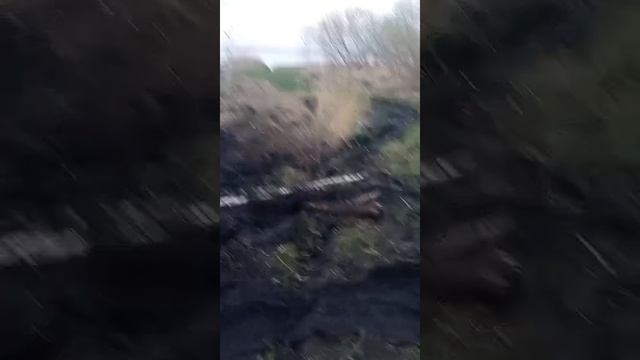 1000014414.mp4