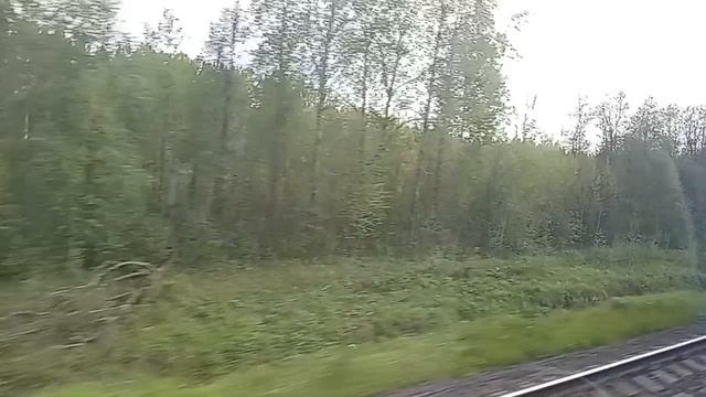 от Волховстрой до сортировочная имени в.н Морозова