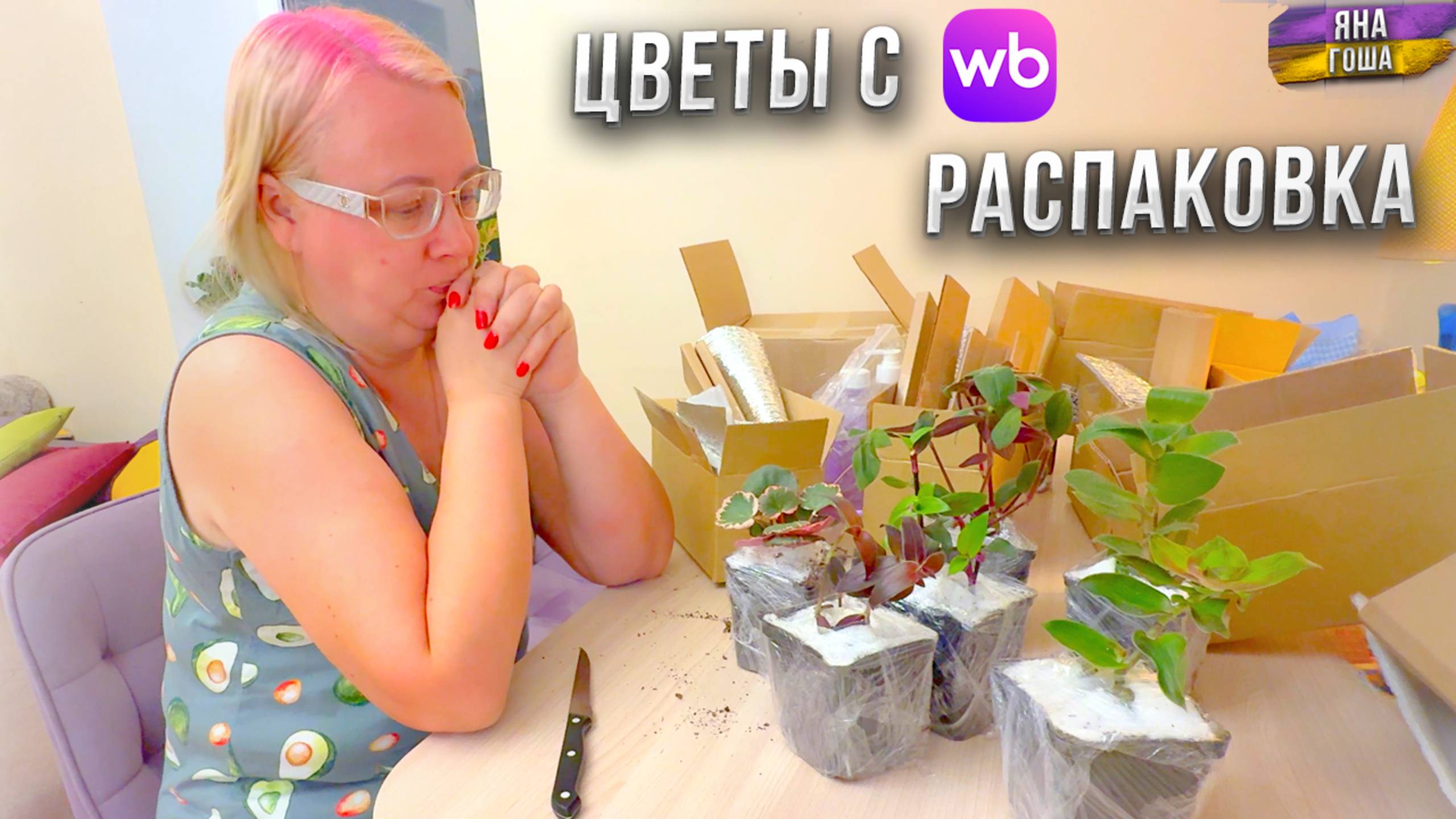 Можно ли покупать ЦВЕТЫ и РАСТЕНИЯ на WILDBERRIES? Мой опыт! Заказала традесканцию и вот что вышло!