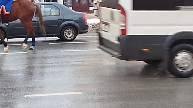 Встреча с Дедом Морозом