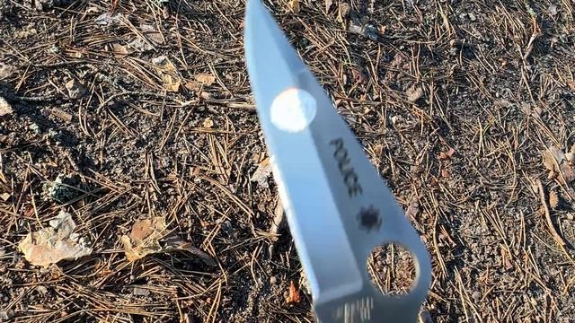Нож Spyderco Police, VG-10, Stainless Steel, C07P.31.05.2025 год.