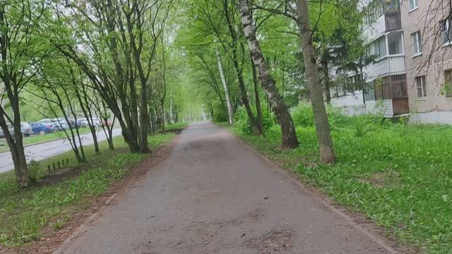 ВЛОГ Не забрали заказ Авито Покупки из Чижика