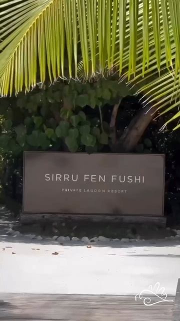 МАЛЬДИВЫ💦
🐠 отель SIRRU FEN FUSHI 5*