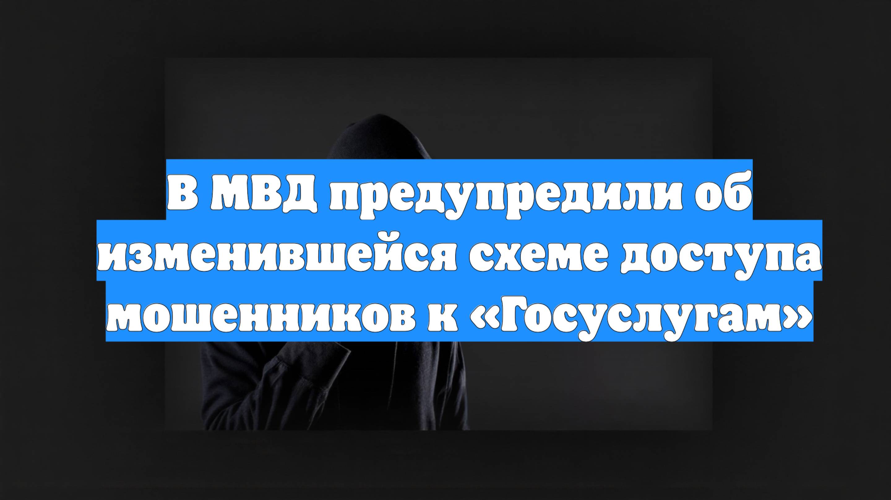 В МВД предупредили об изменившейся схеме доступа мошенников к «Госуслугам»