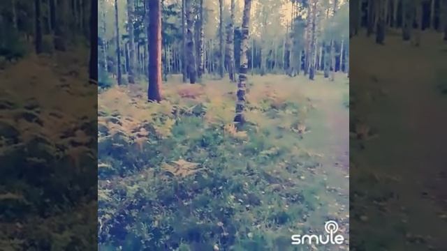 Может знает лес - 2023 год